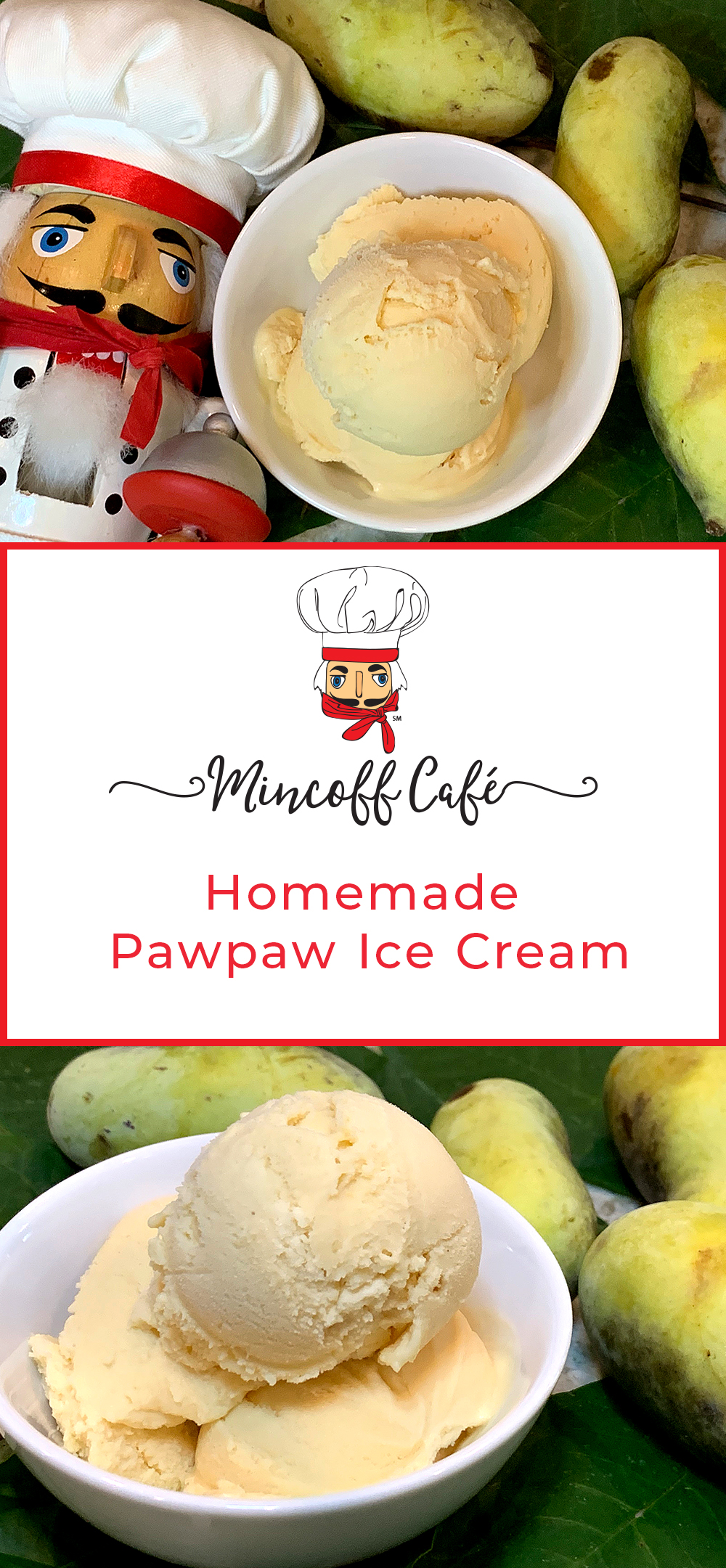 Easy Homemade Pawpaw Ice Cream No Eggs or Cooking Mincoff Café