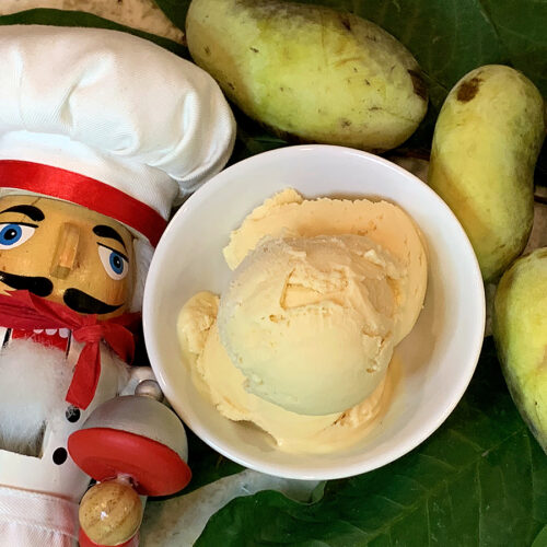 Pale orange scoop of ice cream in a small round white bowl, surrounded by fresh whole pale green pawpaws and pawpaw leaves, and a nutcracker who looks like a chef.
