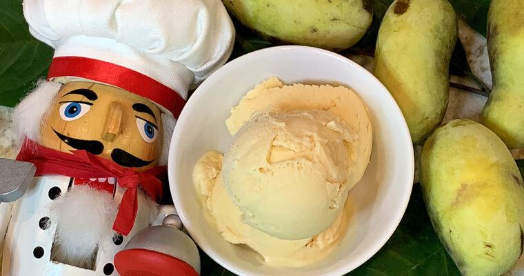 Homemade Pawpaw Ice Cream