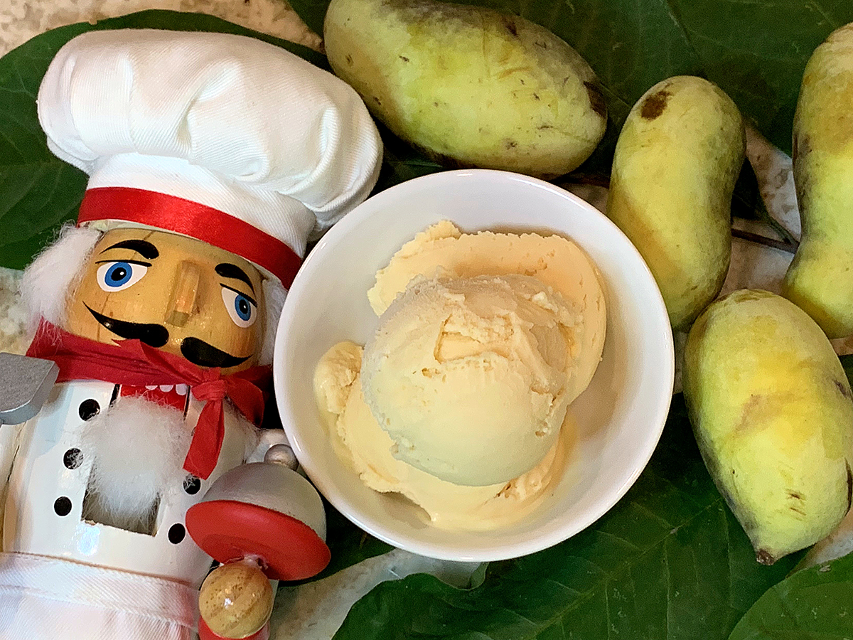 Easy Homemade Pawpaw Ice Cream No Eggs Or Cooking Mincoff Café