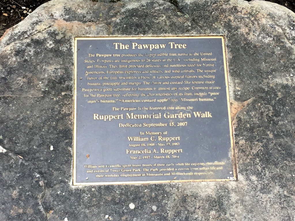 Pawpaw tree dedication plaque
