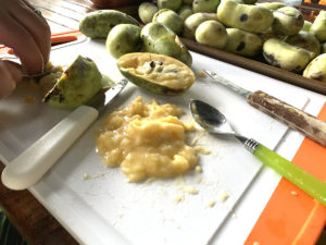 Several pawpaws with one being sliced open on a white and orange cutting board.