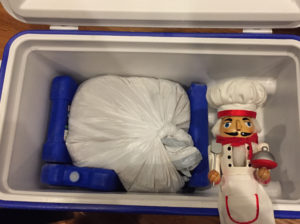 Pepe with turkey brining in a cooler