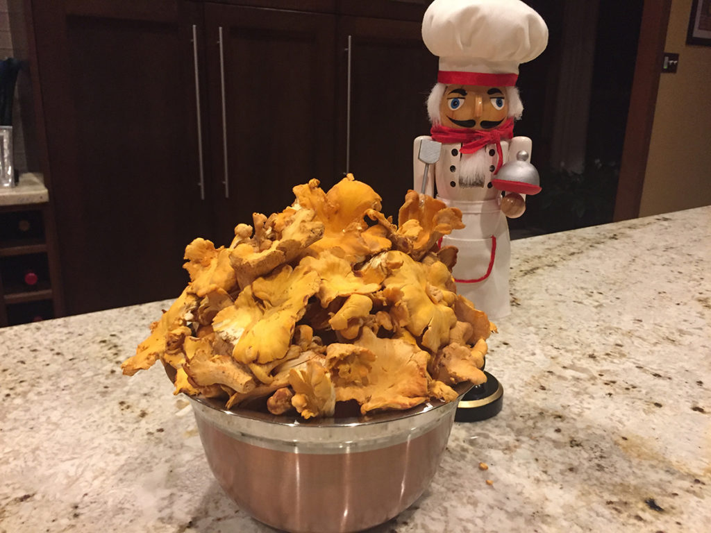 copper bowl heaped with fresh chanterelle mushroom and a nutcracker that looks like a chef
