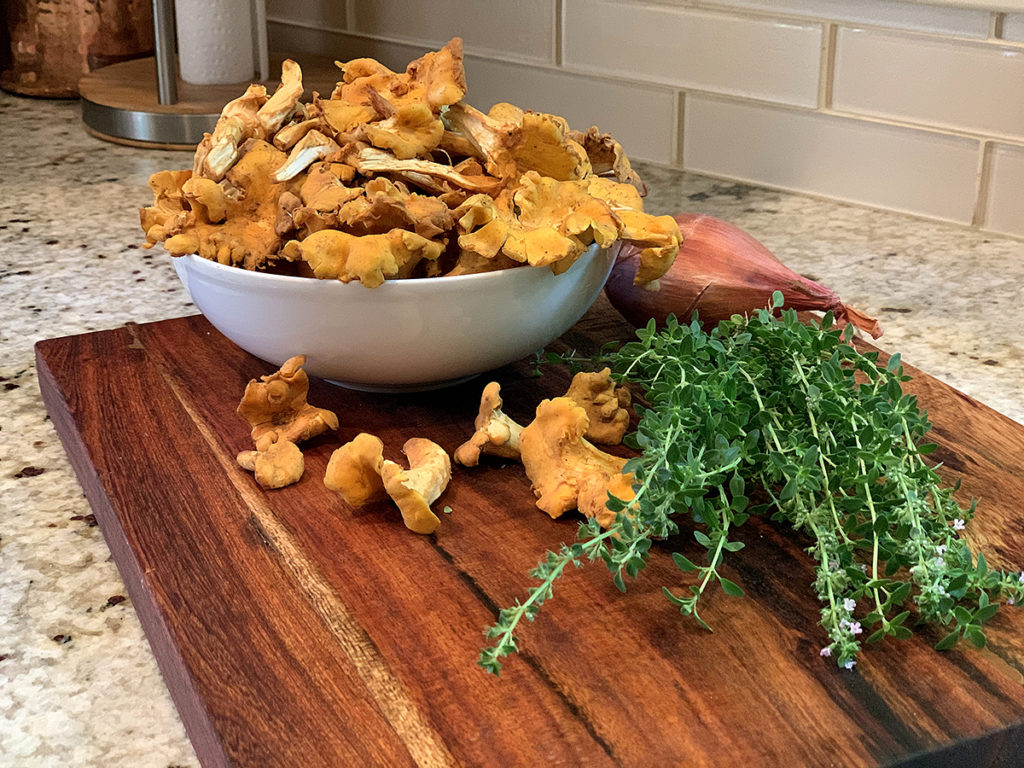 Fresh orange chanterelles in a white bowl, with a few in front, some fresh thyme and one shallot... All on a wood cutting board.