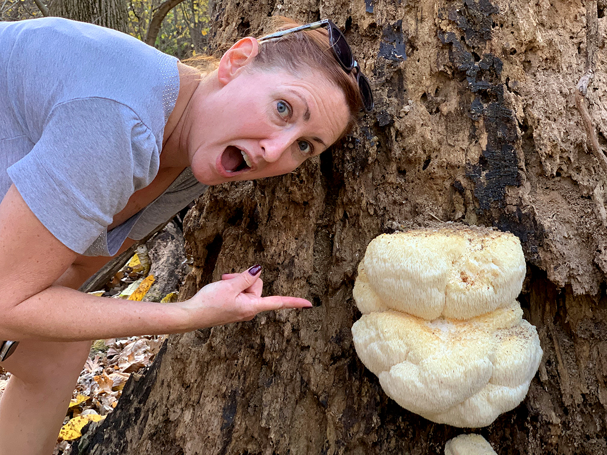Caucasian woman looking astonished and pointing to a large lion's mane mushroom growing out of a stump.