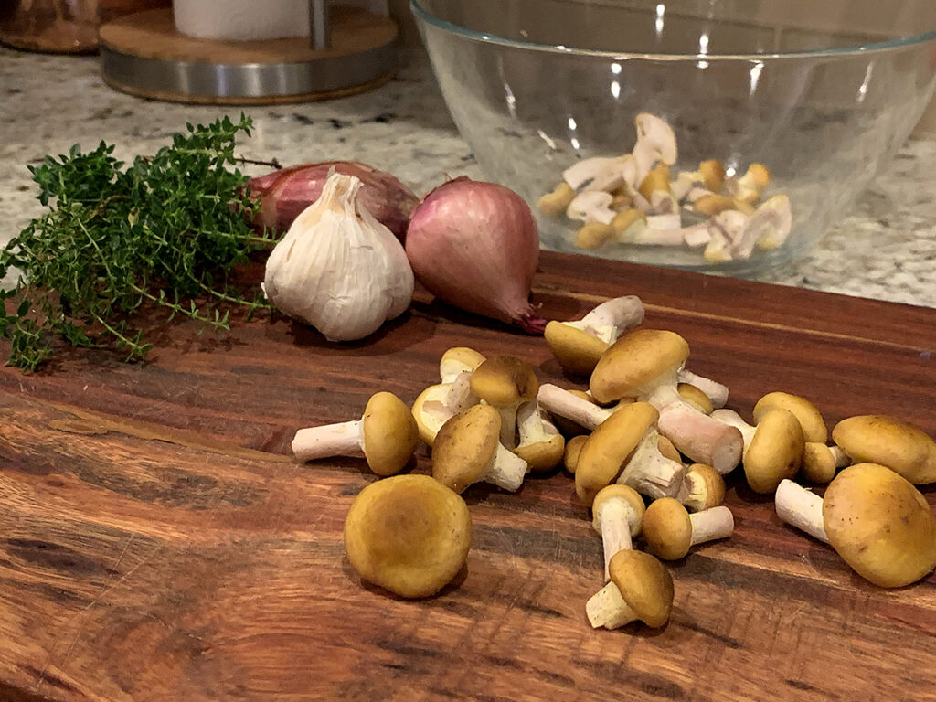 Small yellow mushrooms, garlic bulb, shallot and thyme on a wood cutting board.